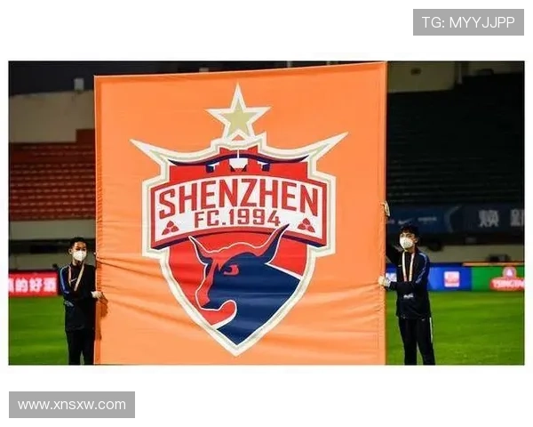 中超升班马票价过高 球迷韭菜抗议